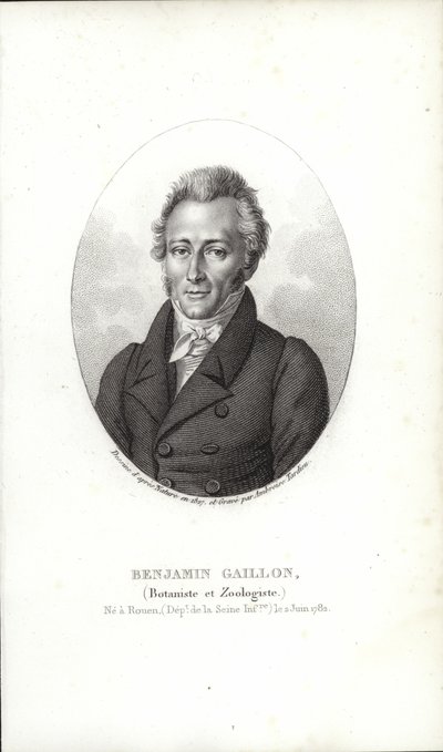 Benjamin Gaillon de French School