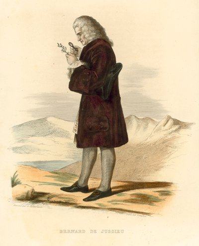 Bernard de Jussieu (gravura a cores) de French School