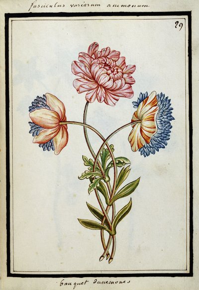 Buquê de anêmonas, c.1700 de French School
