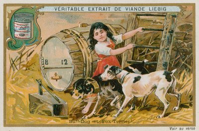 Buldogue e Fox Terrier de French School