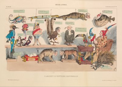 Gabinete de História Natural, da Caricatura, pub. 1833 (litografia colorida à mão) de French School