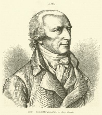 Campe (gravura) de French School