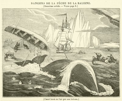 Canoa lançada ao ar por uma baleia (gravura) de French School