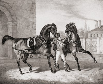 Cavalos de carruagem para o rei da Inglaterra, 1836 de French School