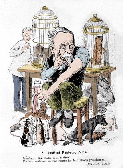 Representação cartoon do cientista Louis Pasteur, inventor da vacina contra a raiva, vacinando-se contra as decorações prussianas. Publiee em "Der Floh". de French School