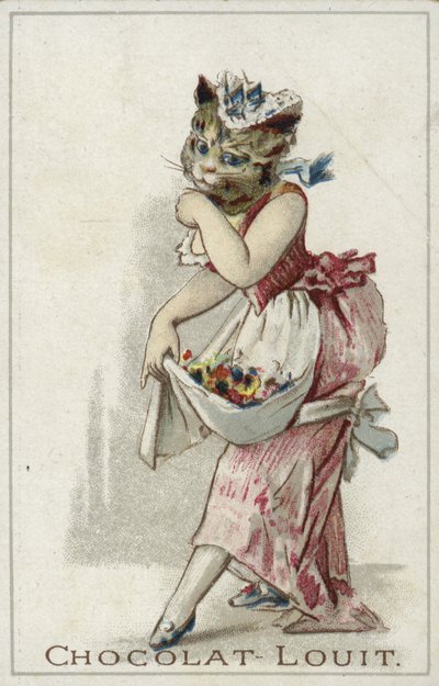 Gato vestindo um vestido de French School