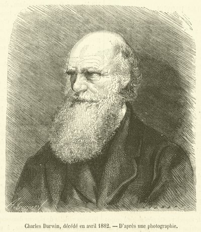 Charles Darwin, falecido em abril de 1882 (gravura) de French School