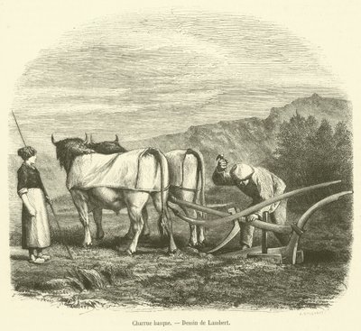 Arado basco (gravura) de French School