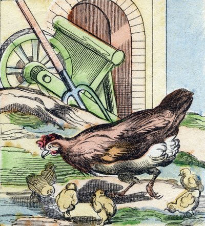 Frango e pintos. Gravação em "Buffon Alphabet des Oiseaux n 2". 3ª Série N 2. Imaging of Epinal, Epinal, final do século XIX. 16 páginas. Dim: 28x21cm de French School
