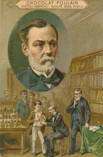 Cartão de comércio de potro de chocolate, Louis Pasteur de French School