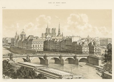 Cite e Pont Neuf, 1878 de French School