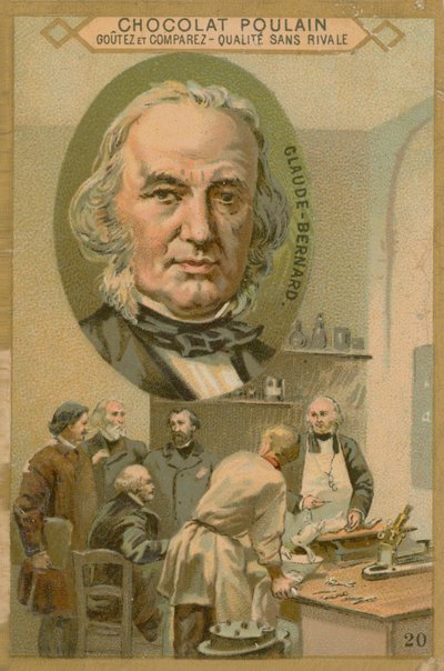 Claude Bernard, cartão do potro do chocolate de French School