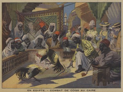 Luta de galos no Cairo (cor litho) de French School