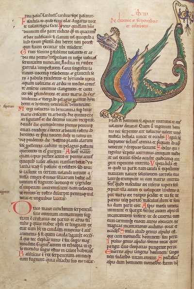 Bacalhau. Guelf. 1 gud. lat. 40v, texto com ilustração de um dragão, de Liber Floridus por Lambert de Saint-Omer c.1120 de French School