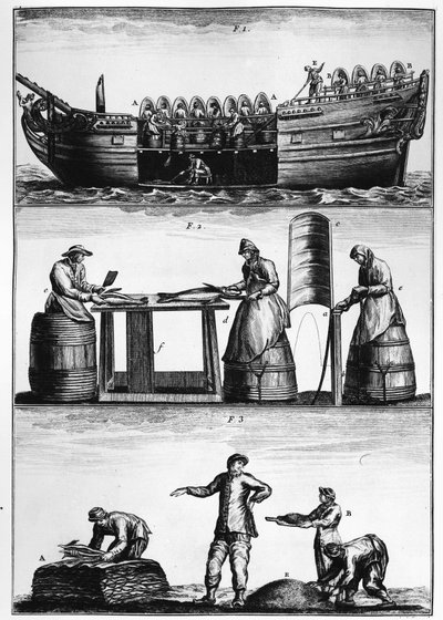 Pesca do bacalhau: carregamento, corte e salga do peixe - no "Traité général des pêches" de Duhamel du Monceau de French School