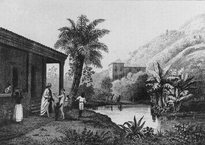 Coffee Plantation, de 