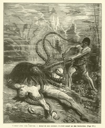 Combater com um polvo (gravação) de French School