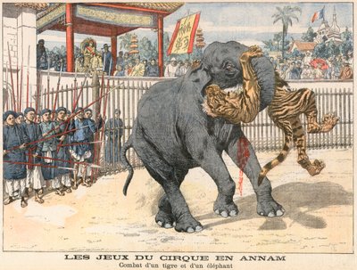 Combate entre um tigre e um elefante de French School