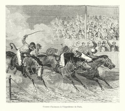 Corridas de animais no hipódromo de Paris (gravura) de French School