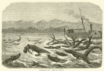 Crocodilos sobre o Chire (gravura) de French School