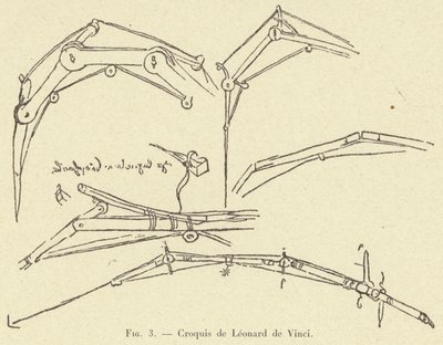 Esboço de Leonardo da Vinci de French School