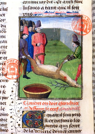 Cortando as pernas de um cervo morto, do Livre de la Chasse por Gaston Phebus de Foix (1331-1391) de French School