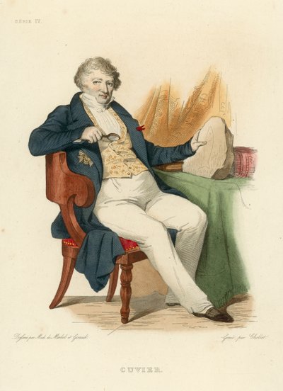 Cuvier (gravação a cores) de French School