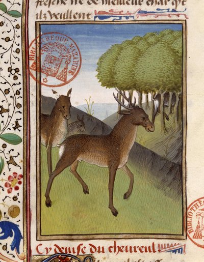 Veado e Veado - em "O Livro de Caça de Gaston Phoebus, Conde de Foix, Senhor de Béarn". de French School