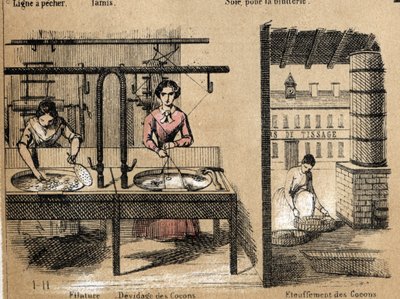 Descrição da cultura e dos produtos de seda: trabalhadores que fiam seda, removendo ou sufocando casulos. Placa "la soie" em "les Recreations instructives" Pintura sinóptica de Jules DELBRUCK, gravura a partir de 1860. Coleção particular. de French School