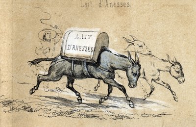 Descrição dos diferentes produtos e usos do burro: burros que transportam montes de leite de danesse. Detalhe do quadro "O burro e os seus produtos" em "Les Recreations instructives" Pintura sinóptica de Jules DELBRUCK, gravada a partir de 1860. Particular de French School