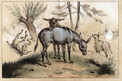 Descrição dos diferentes produtos e usos do burro: dois burros em um. Detalhe do quadro "O burro e os seus produtos" em "Les Recreations instructives" Pintura sinóptica de Jules DELBRUCK, gravada a partir de 1860. Coleção particular. de French School
