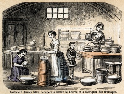 Descrição dos vários empregos e produtos ovinos: jovens produtores de leite fazendo manteiga e queijos em um laticínio. Placa "Les moutons" em "les Recreations instructives" Pintura sinóptica de Jules DELBRUCK, gravada a partir de 1860. Colecção privada. de French School
