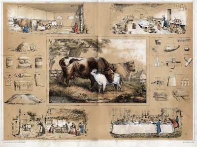Descrição dos vários produtos e usos da vaca: ordenha e produção de leite de vaca, vista de uma leiteria onde são feitos queijos, que depois são encontrados nas mesas dos camponeses das aldeias, bem como nos buffets do mundo, todo o tipo de objectos ma de French School