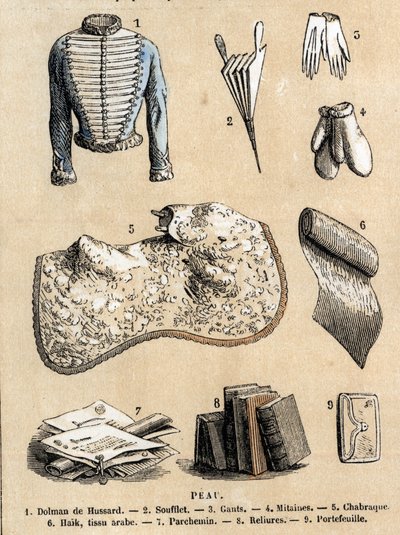 Descrição dos diversos usos e produtos de ovinos: trabalho em couro e representação de produtos de pele de carneiro, casaco de hussard, fole, luvas, amarrações e pergaminho, carteira e acessórios. Placa "Les moutons" em "les Recreations instructives". de French School
