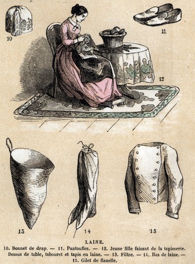 Descrição dos vários usos e produtos de ovinos: tapeçaria e produtos de lã, chapéu, chinelos, meias de lã, colete de flanela. Placa "Les moutons" em "les Recreations instructives" Pintura sinóptica de Jules DELBRUCK, gravura a partir de 1860. Particular de French School