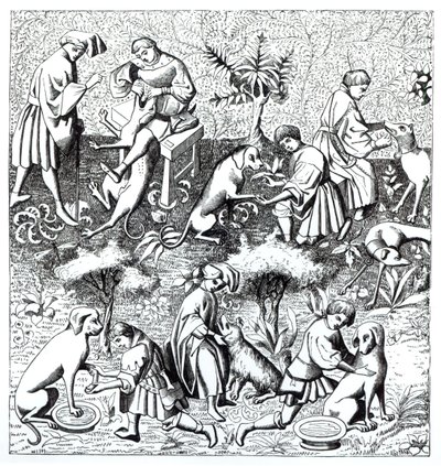 Doenças de cães e sua cura, após uma miniatura no manuscrito de Gaston de Foix de French School