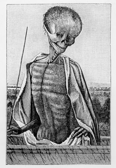 Doutor Morte, de um Livro de Horas, ilustração da Ciência e Literatura da Idade Média e do Renascimento, escrita e gravada por Paul Lacroix, 1878 de French School