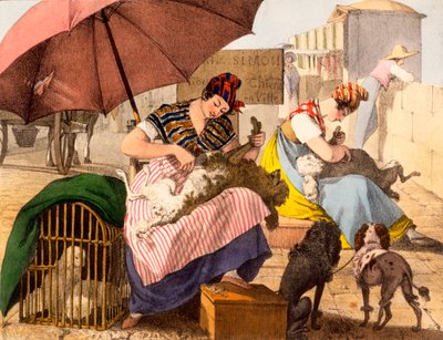 Groomers Dog, 1820 de French School