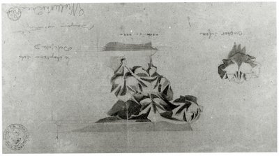 Desenho para a restauração de Notre Dame de French School