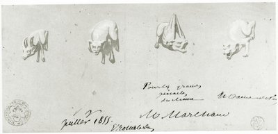 Desenho para a restauração das gárgulas de Notre Dame, 1855 de French School
