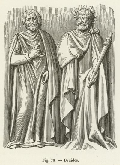 druidas de French School