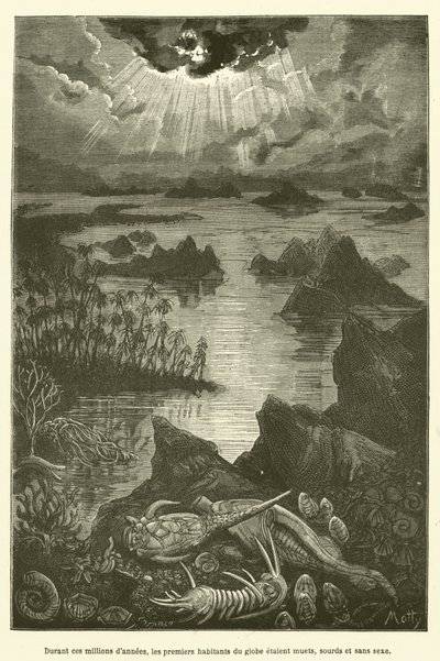 Durante esses milhões de anos, os primeiros habitantes do globo foram mudos, surdos e sem sexo (gravura). de French School