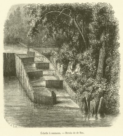 Escada de salmão (gravura) de French School