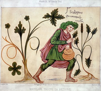 Esculapus encontra o betoneum (planta medicinal) de French School