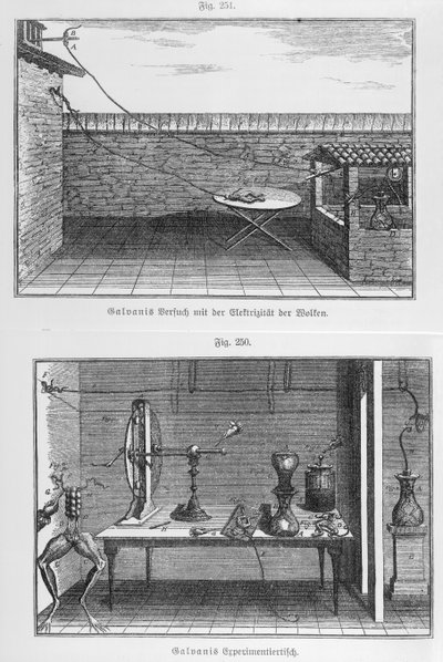 Experiência em rãs por Louis Galvani (1737-98) final do século XVIII de French School
