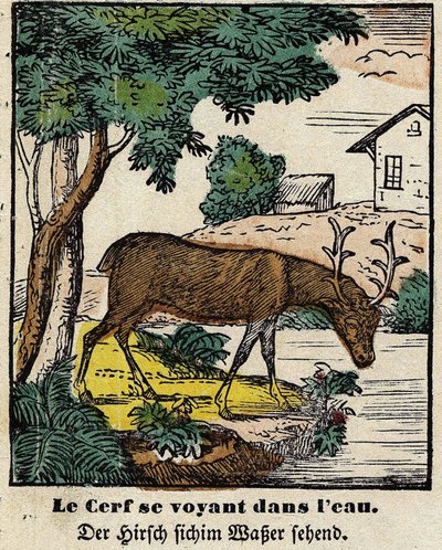 Fables de La Fontaine: os veados vendo-se na água. Imagem de Epinal, primeira metade do século XIX de French School