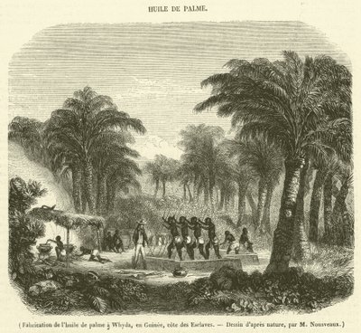 Produção de óleo de palma em Whyda, Guiné, Costa dos Escravos (gravura) de French School
