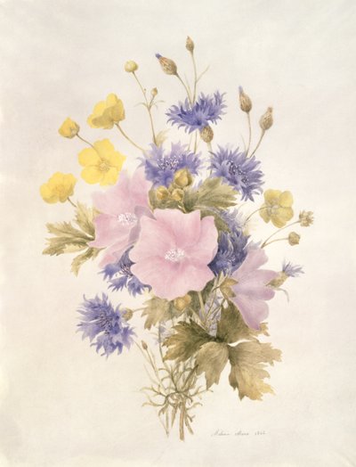 Flores do campo, 1842 (wc no papel) de French School