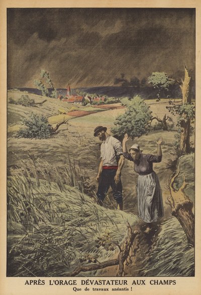 Campos devastados por uma trovoada em França (cor litho) de French School