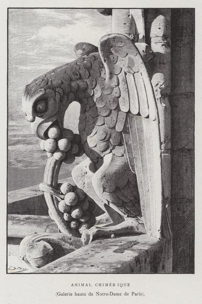 Figura de um animal quimérico, da galeria superior de Notre Dame de Paris (litho) de French School